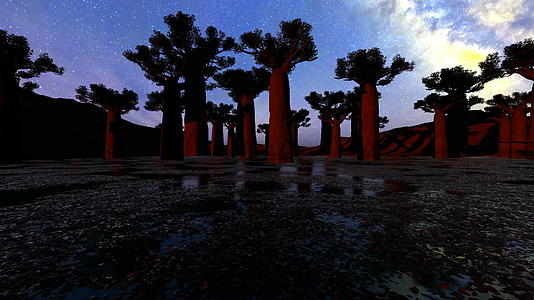 日落时天空中的月光树视频的预览图