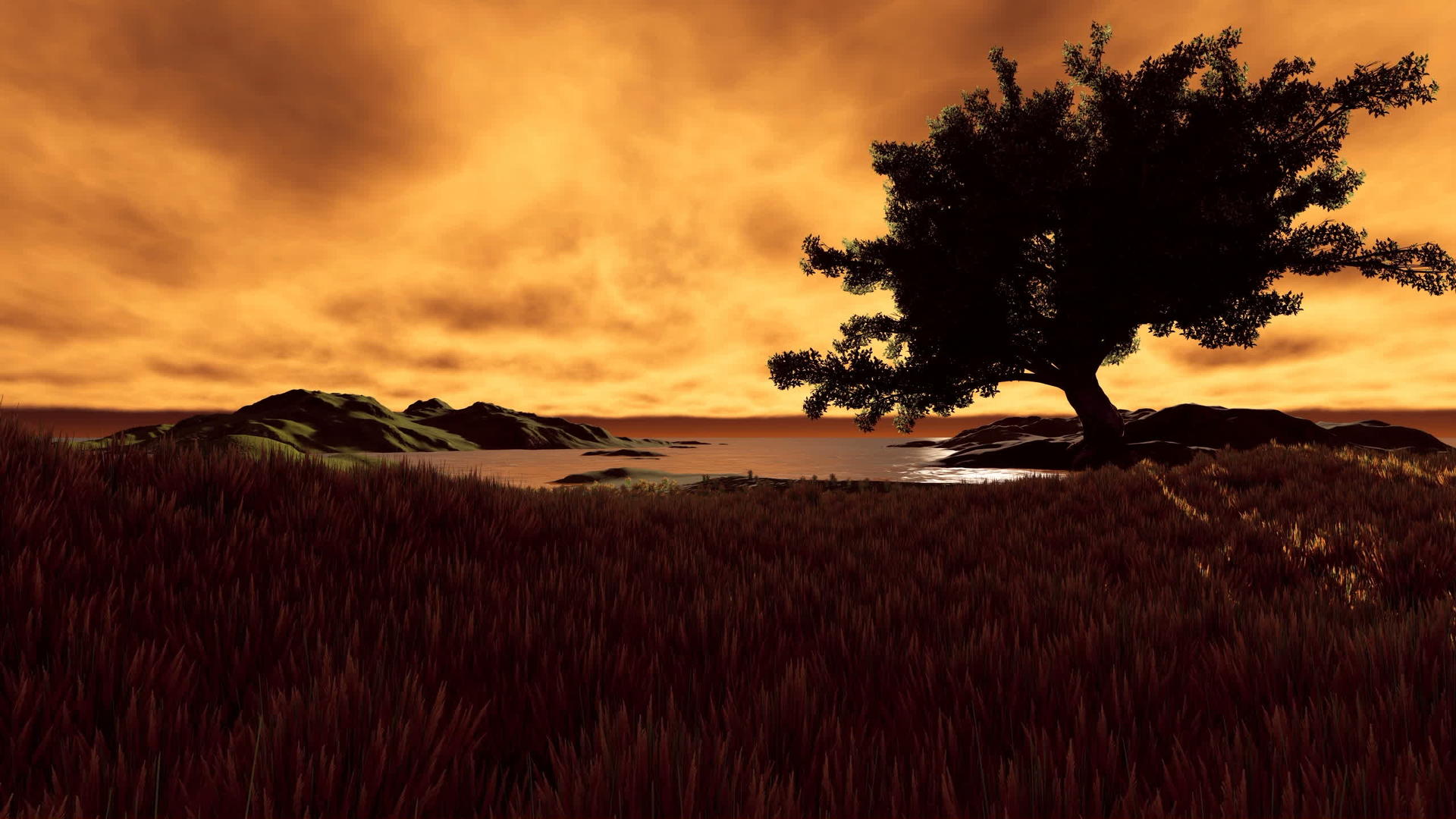 田野里红天的单树视频的预览图