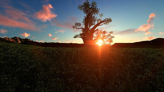 日落时在非洲平原上视频的预览图
