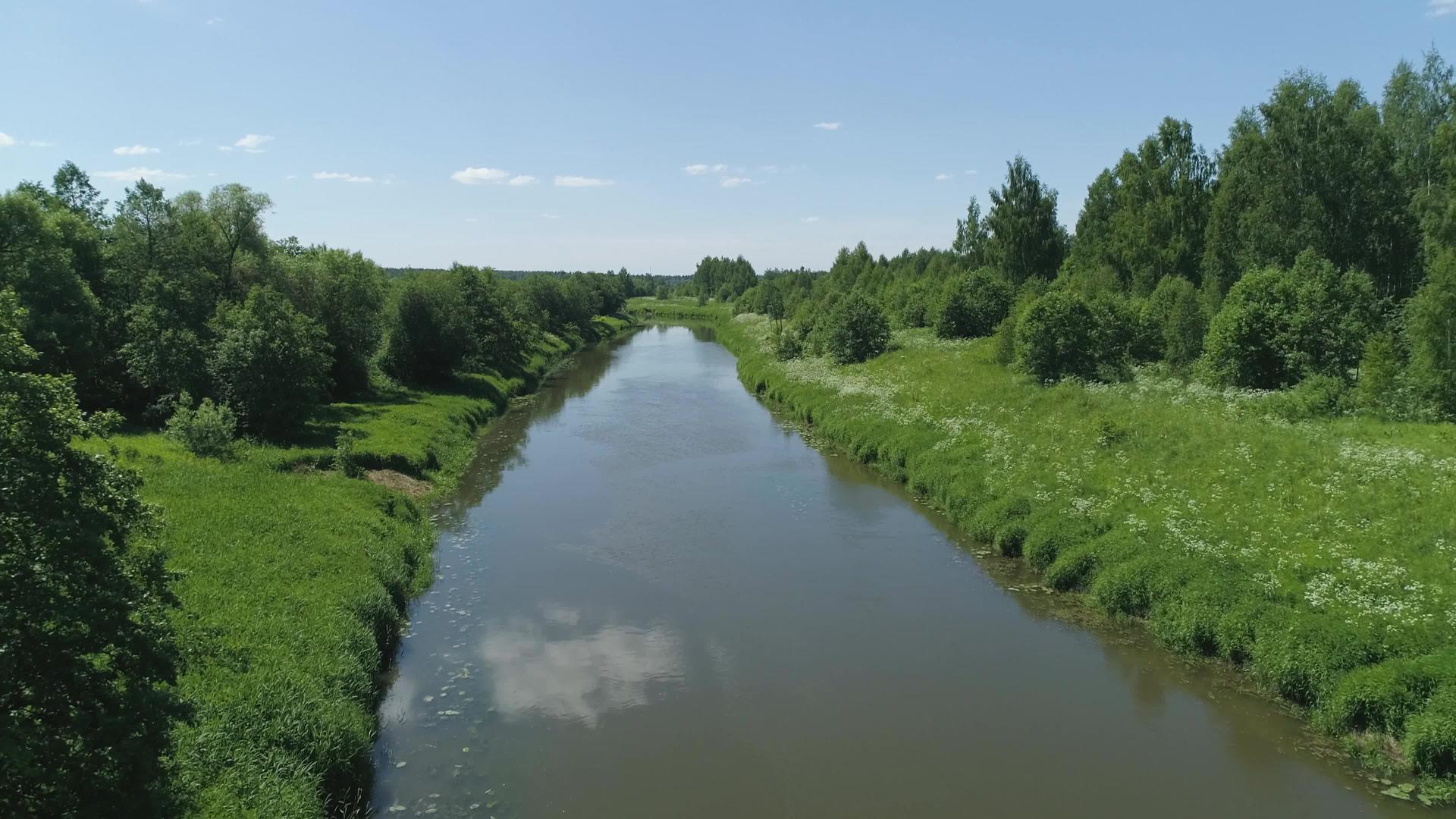 河流和树木视频的预览图