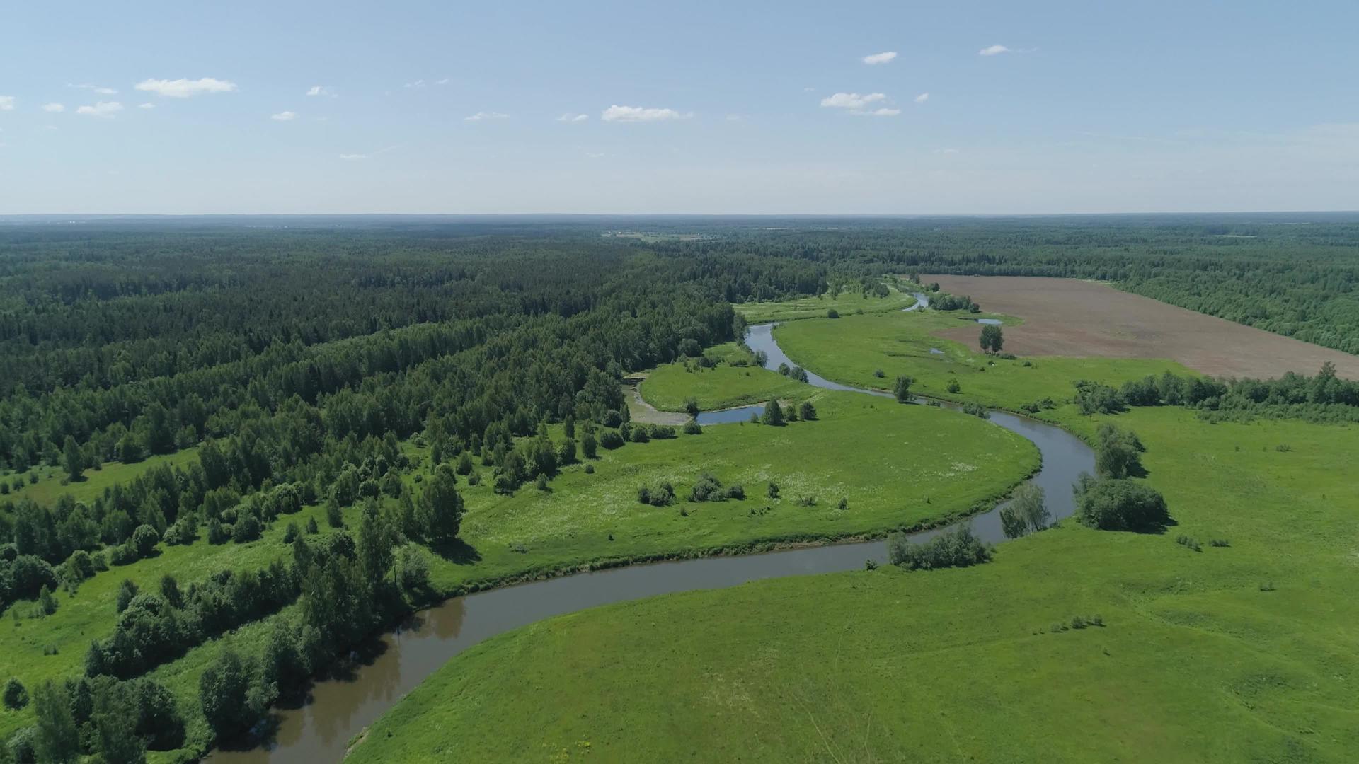 河流和树木视频的预览图