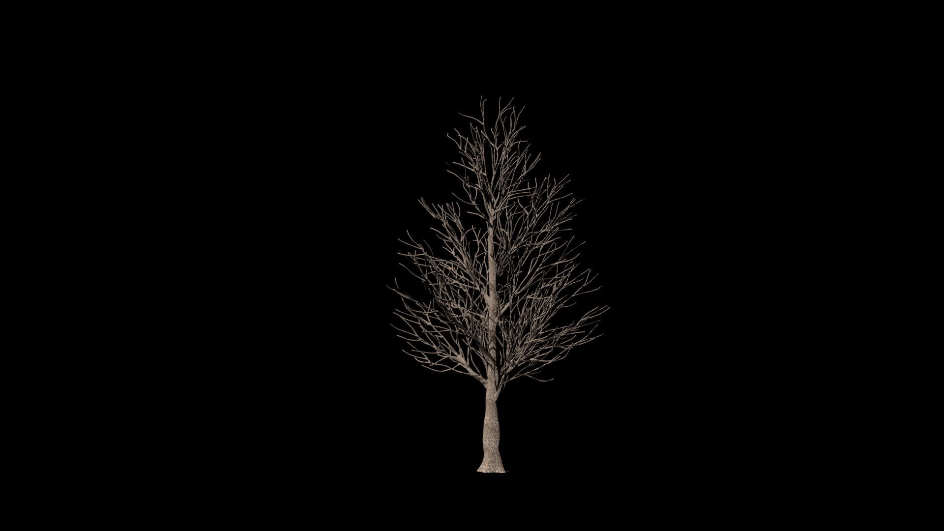 树的延伸时间附着在生长的羊毛垫上视频的预览图