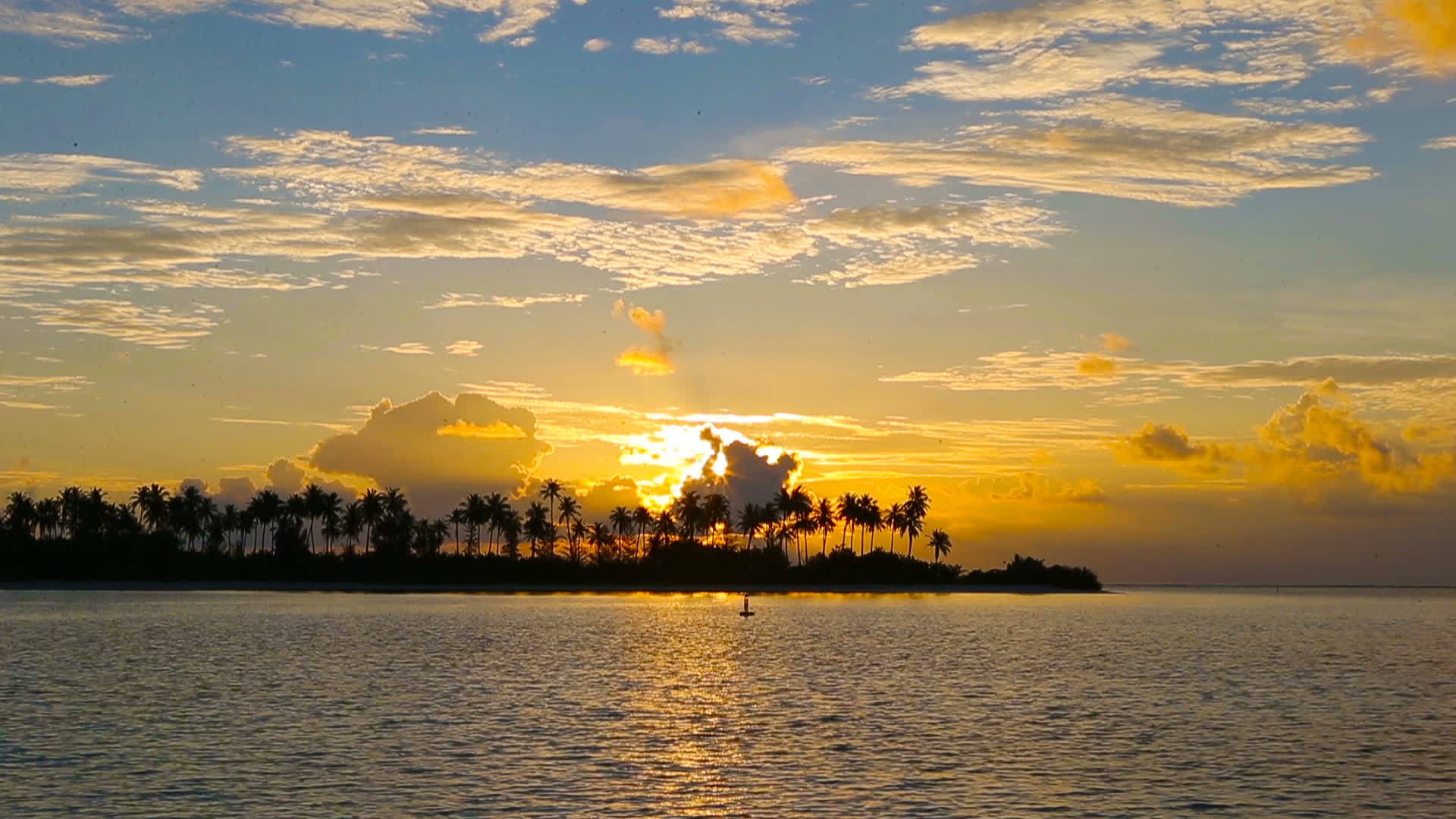 棕榈树和令人惊叹的阴云天空在印度洋热带岛屿日落视频的预览图
