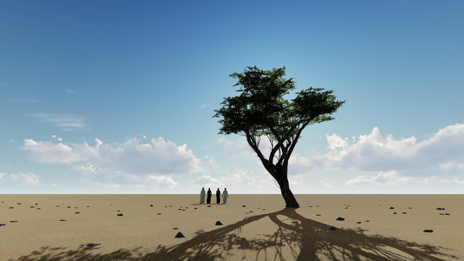 两对阿拉伯夫妇在沙漠中走在一棵树附近D视频的预览图