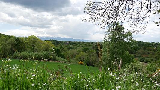 弗朗特的春天在法国西南部视频的预览图