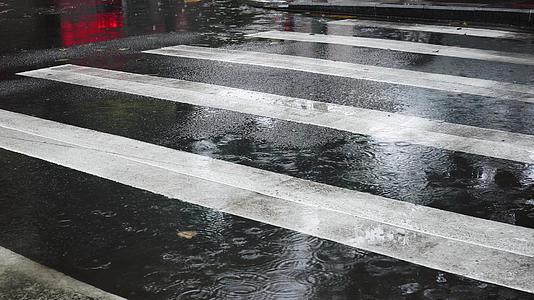 谷雨雨水城市斑马线视频的预览图