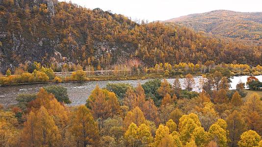 秋季的阿尔山自然风景视频的预览图