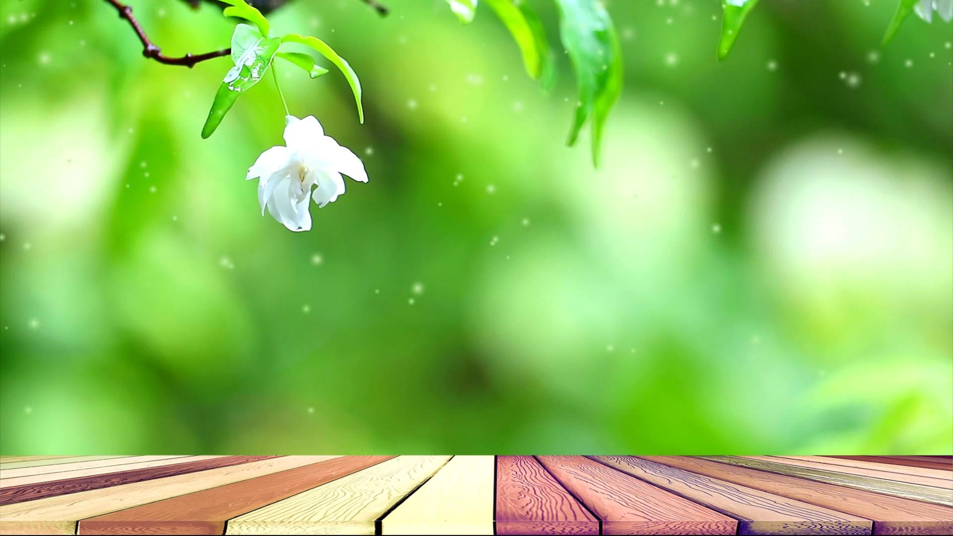 白葡萄花木地板和水滴中白葡萄花闻到了香味摇晃晃视频的预览图