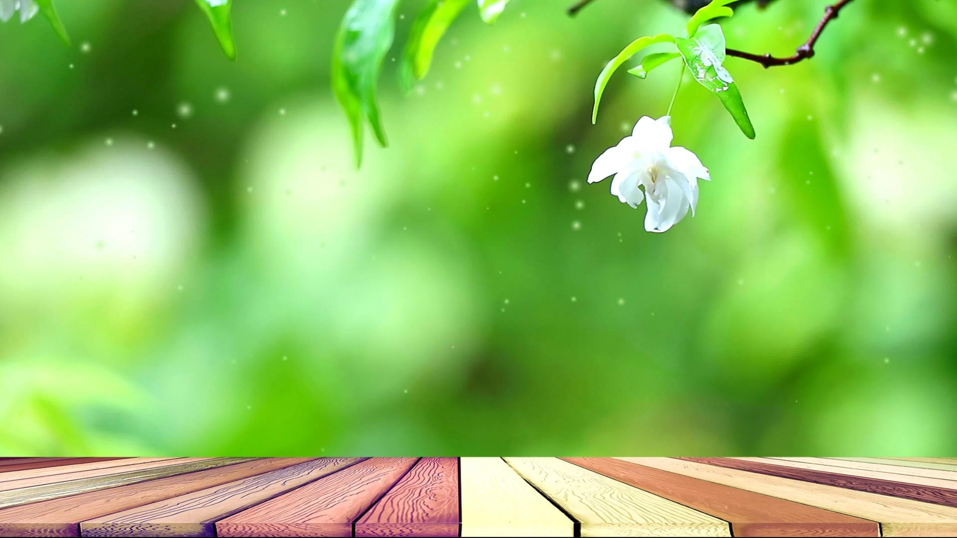 白葡萄花闻到花园木地板和水滴1的香味在风中摇摆视频的预览图