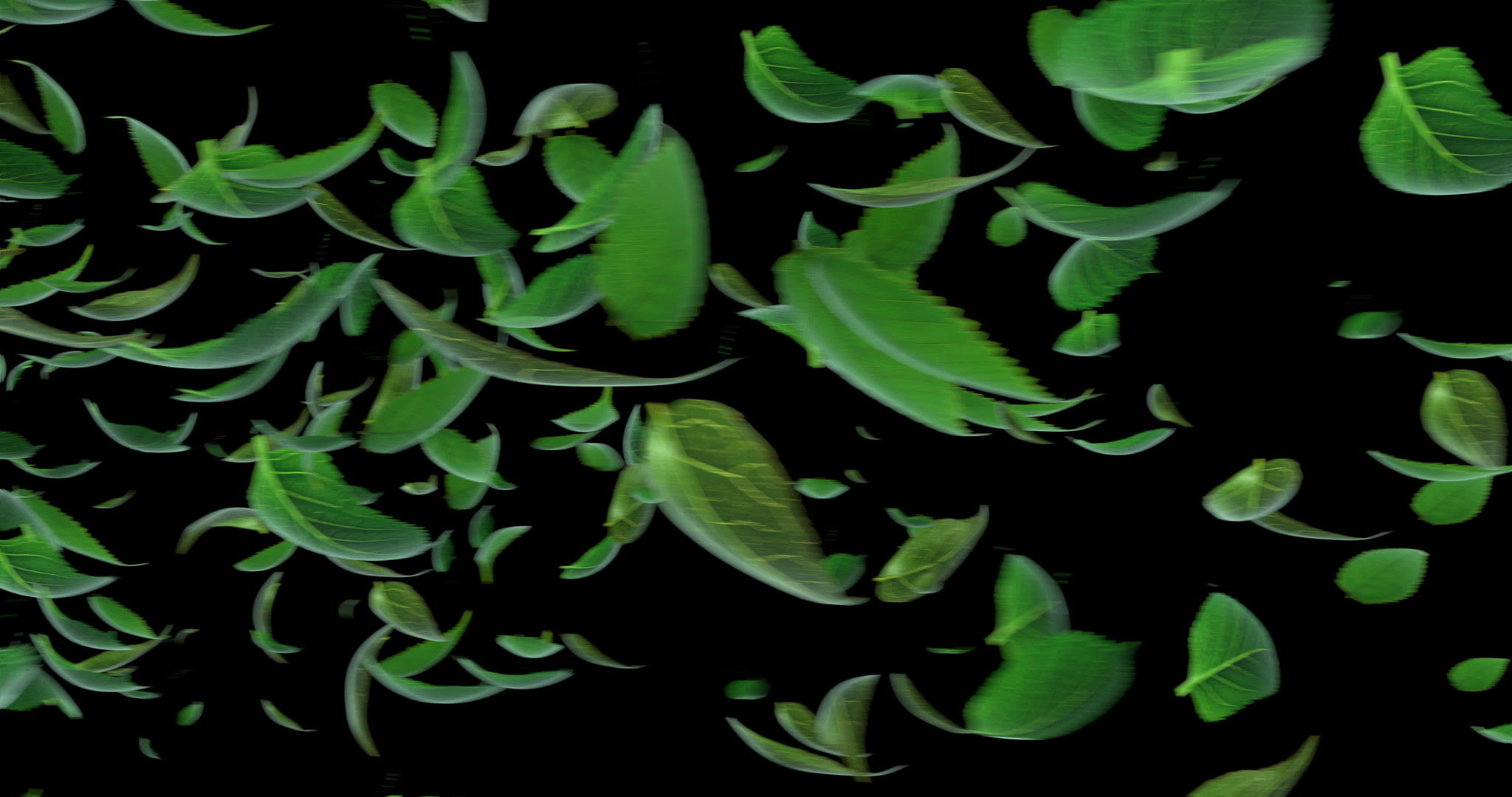 落叶相机转换和阿尔法4k3d动画视频的预览图