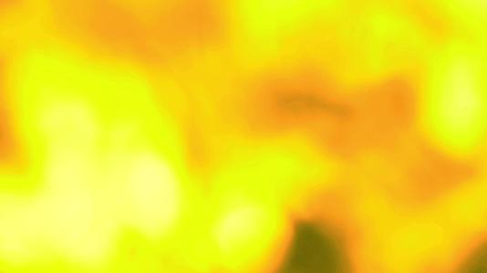 黄色橙色抽象抽象抽象白色橙色模糊色叶子花园中的花树视频的预览图