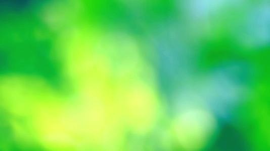 花园花树上的黄色、绿色、蓝色、抽象和模糊的彩色叶子视频的预览图