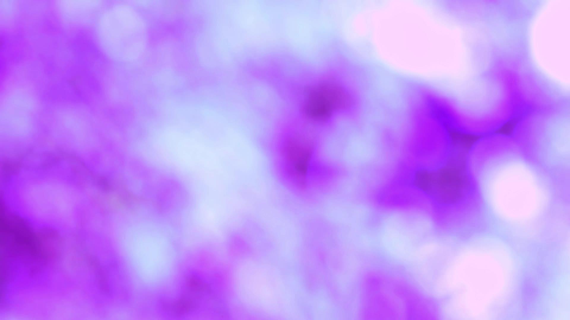 花园里的紫色抽象模糊的彩色叶子视频的预览图