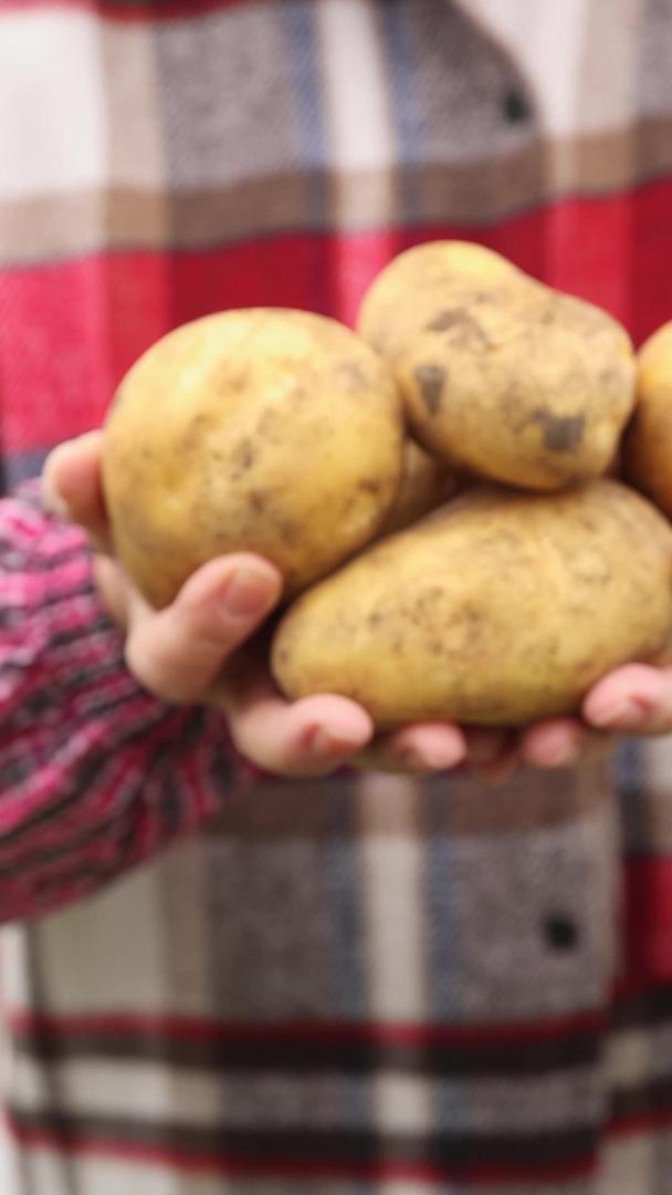 农场主展示收获的土豆视频的预览图