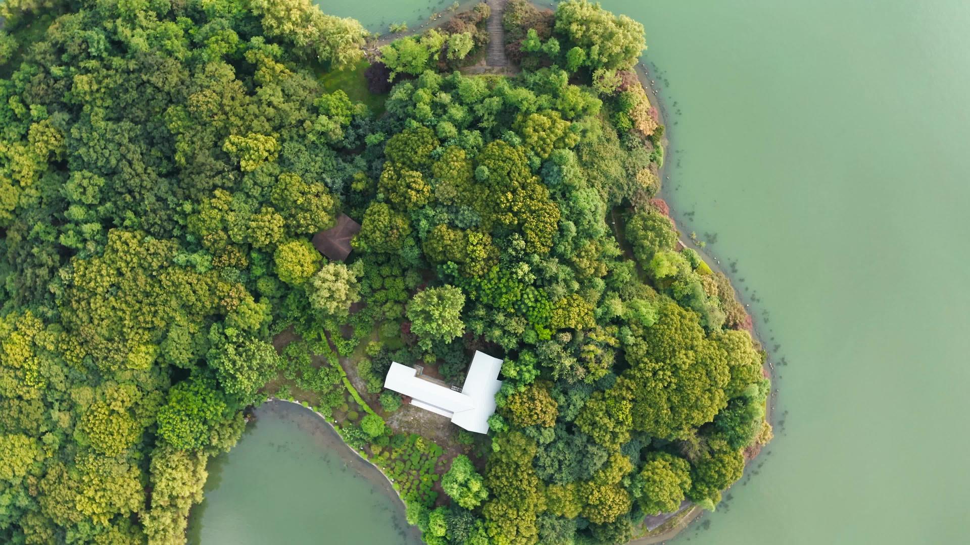仰望湖中的小岛视频的预览图
