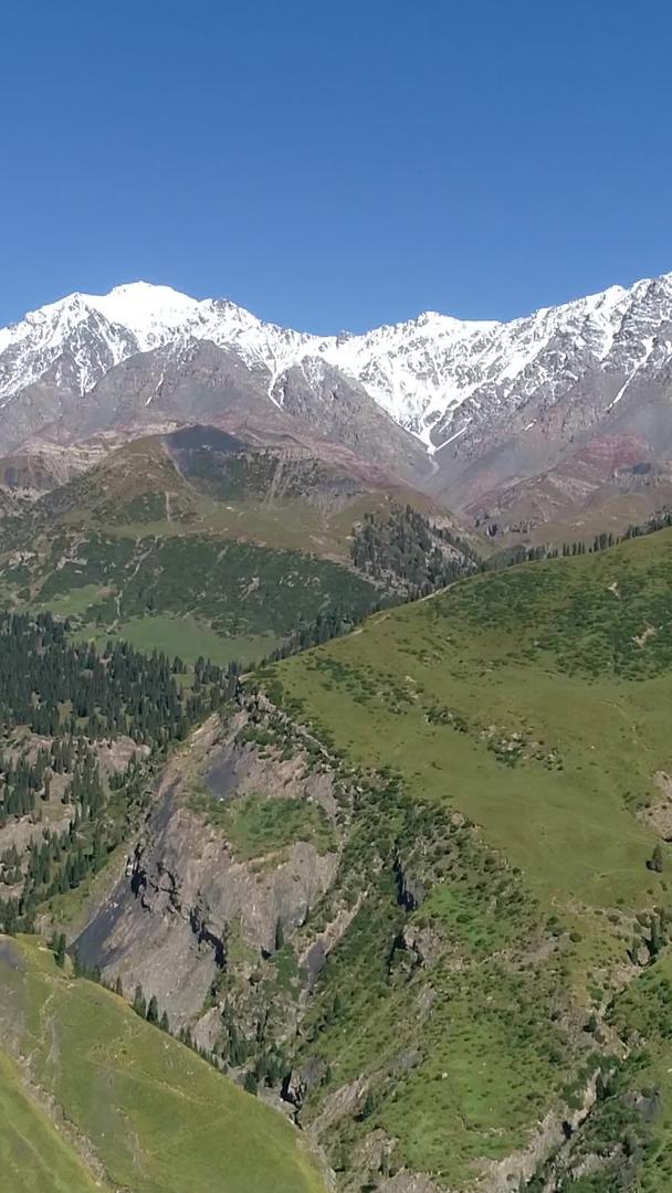 新疆天山草原航拍视频的预览图