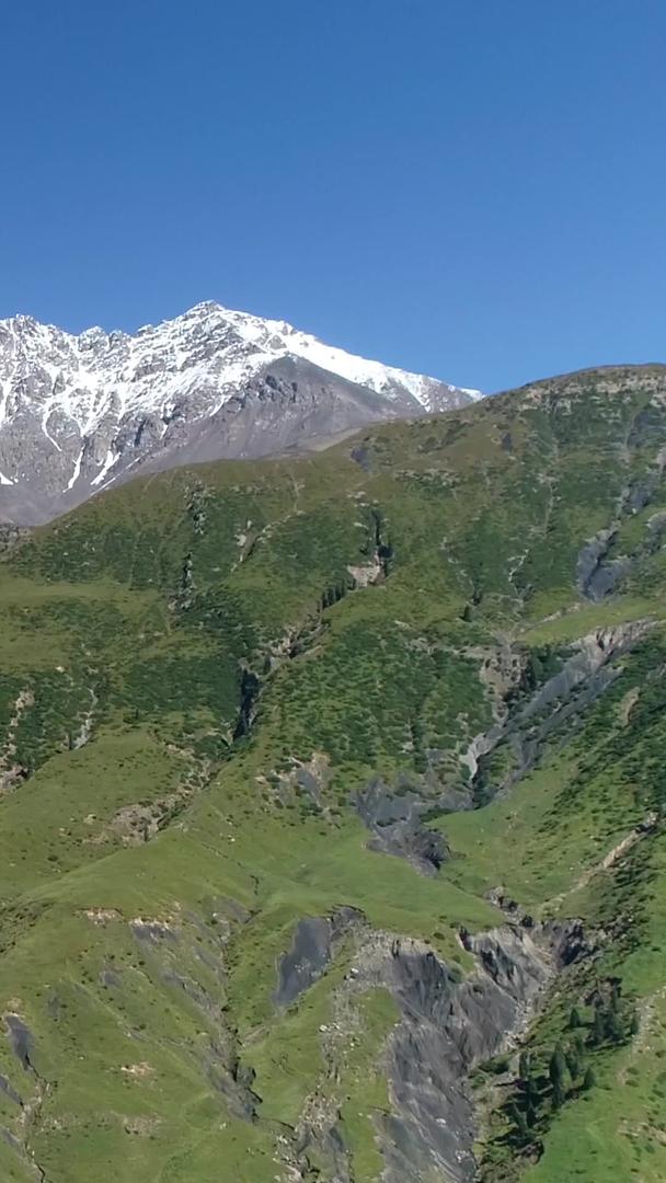 新疆天山草原航拍视频的预览图
