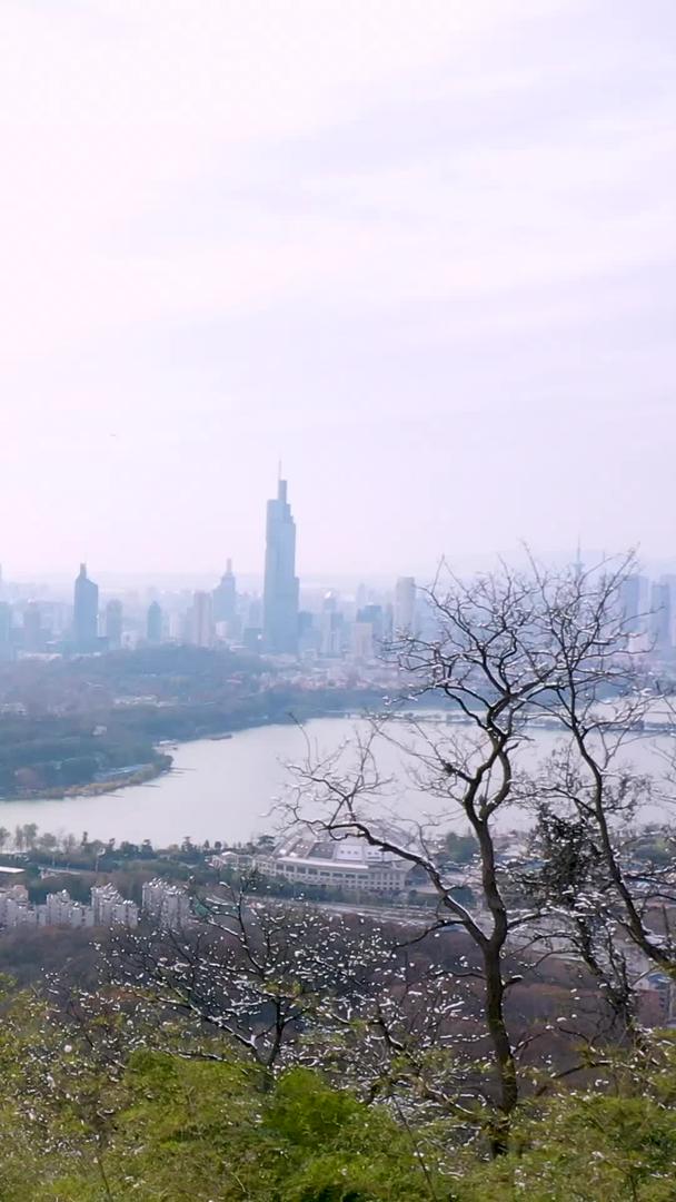 南京雪景城市天际线航拍视频的预览图
