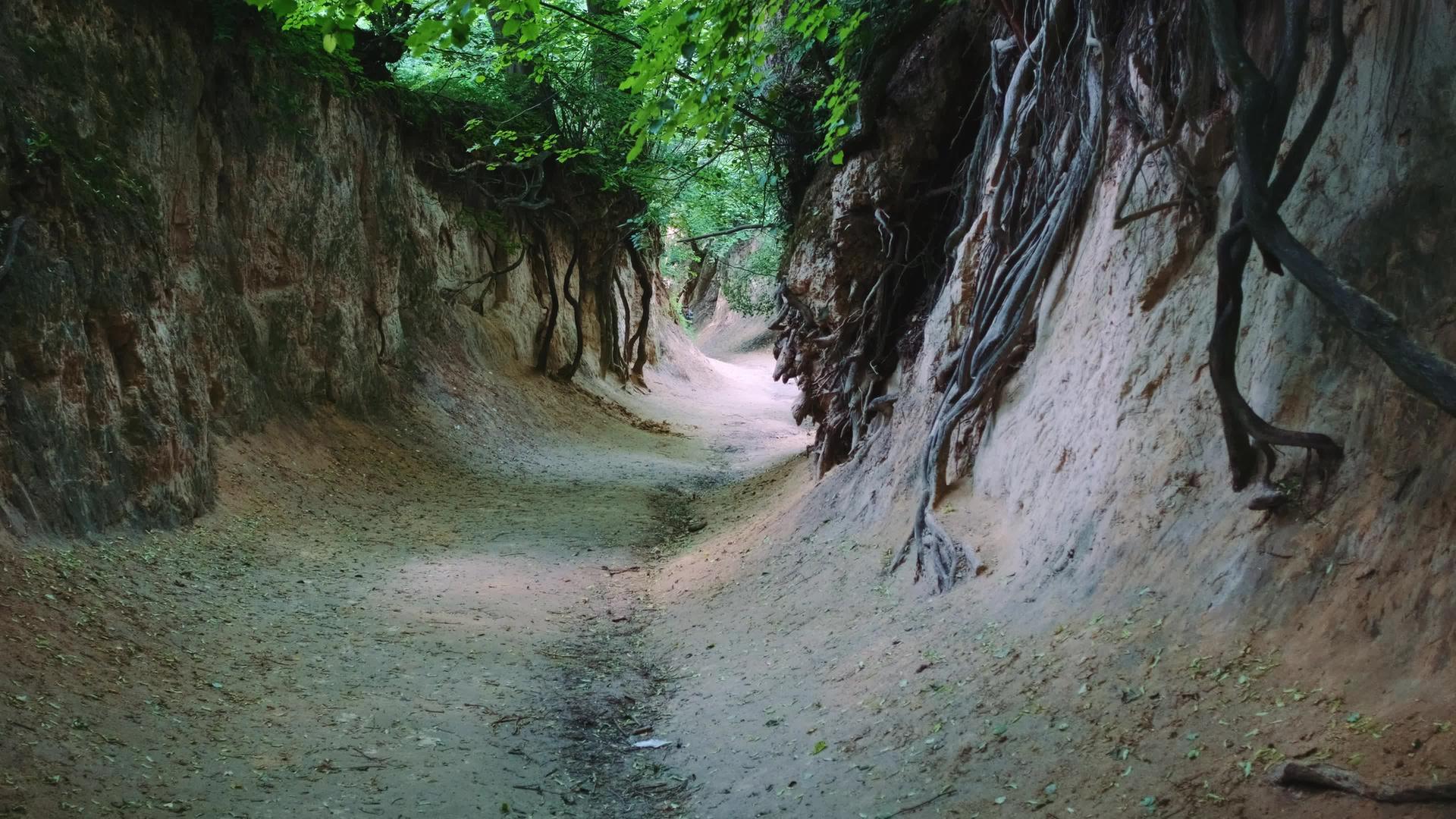 卡兹米日多尔尼波兰峡谷视频的预览图