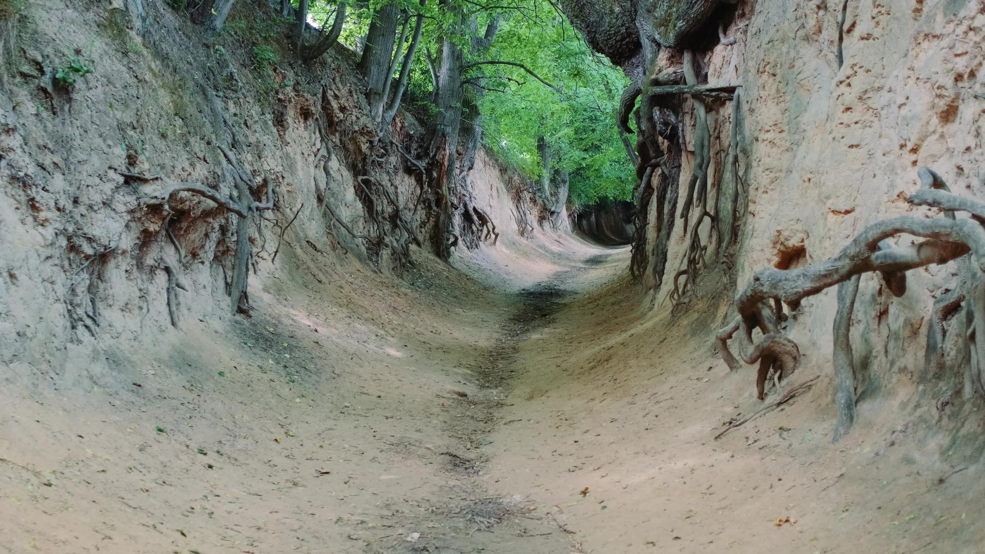 卡兹米日多尔尼波兰峡谷视频的预览图