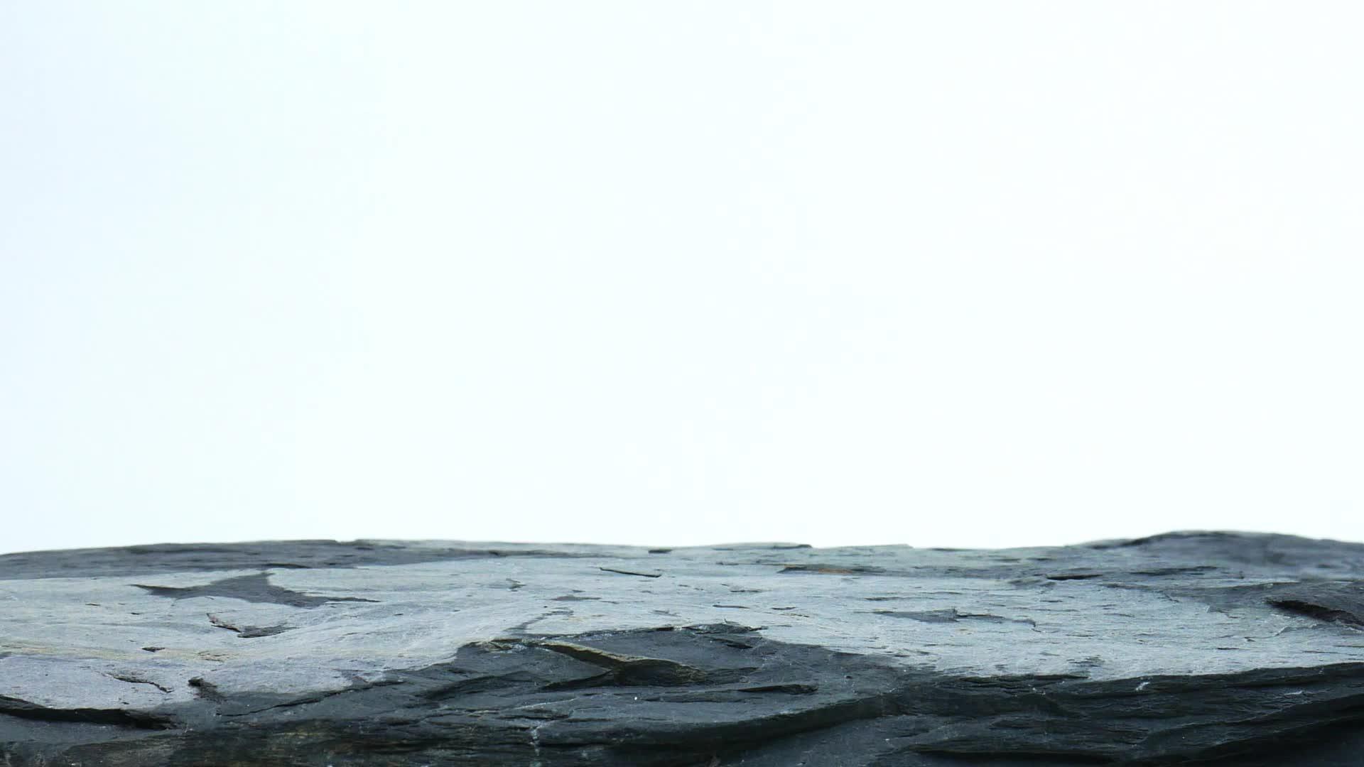 前黑石的白色背景视频的预览图