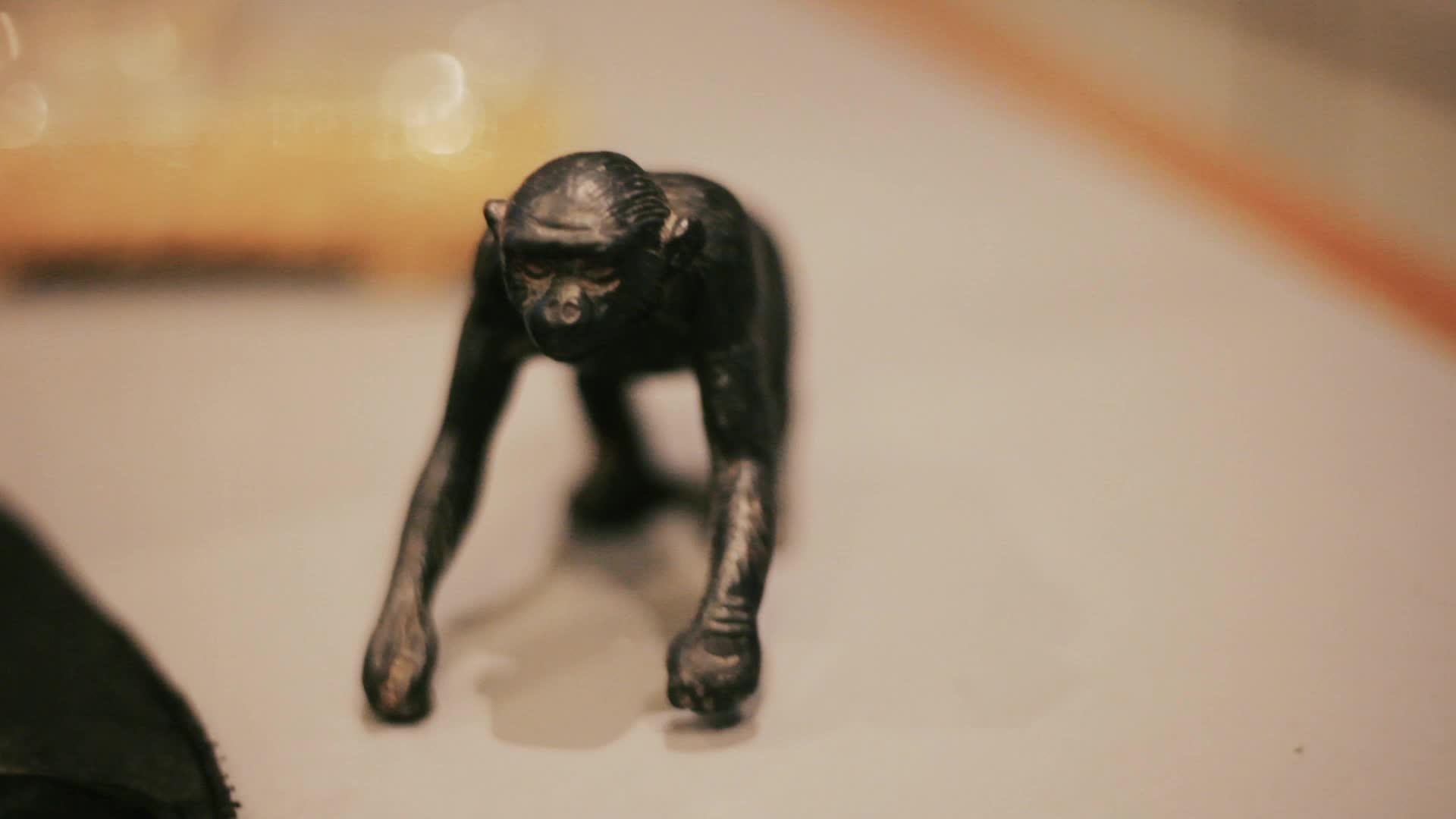 桌子或桌子上的猴子形状装饰视频的预览图