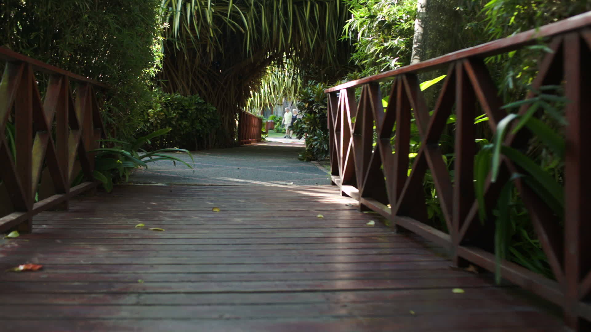 木桥横跨棕榈枝之间的木桥视频的预览图