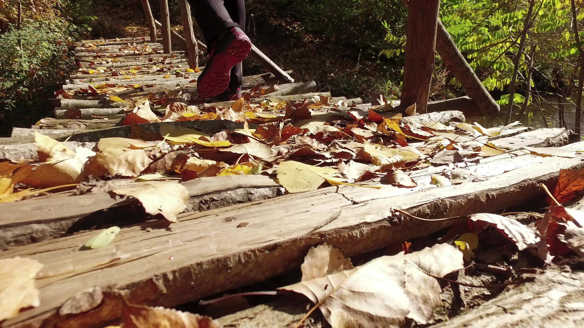 走在木桥上有秋叶从后面看风景视频的预览图