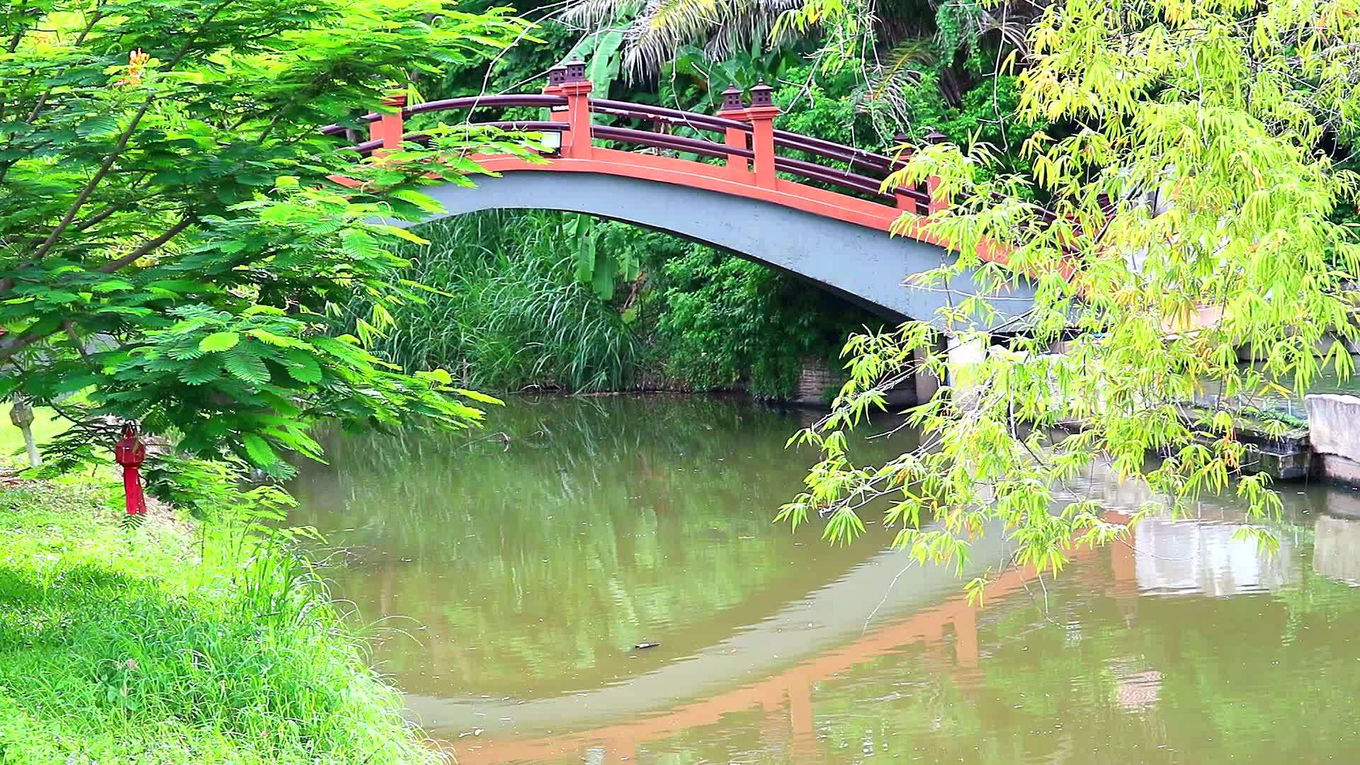 古老的象形桥绿叶和竹子在池塘水中的反射视频的预览图