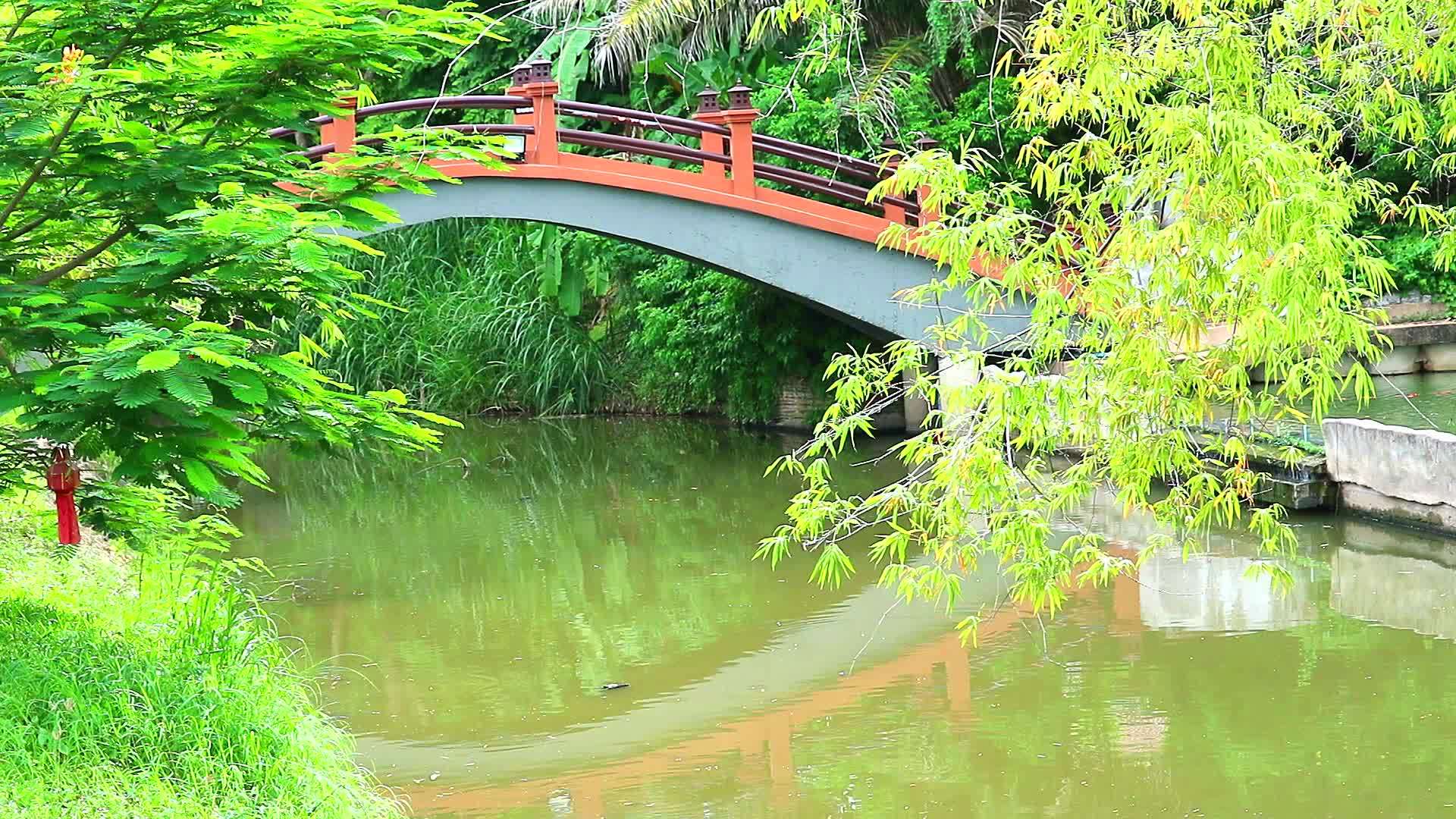 古老的象形桥绿叶和竹子在水中的反射视频的预览图