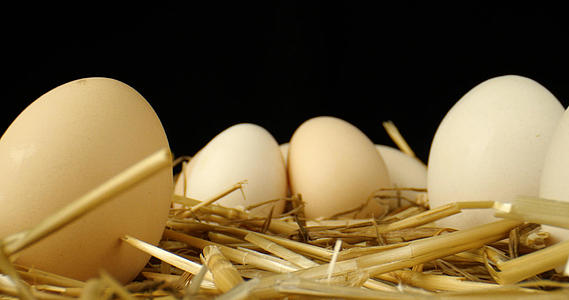 4K鸡蛋土鸡蛋干草蛋黄散养鸡蛋视频的预览图
