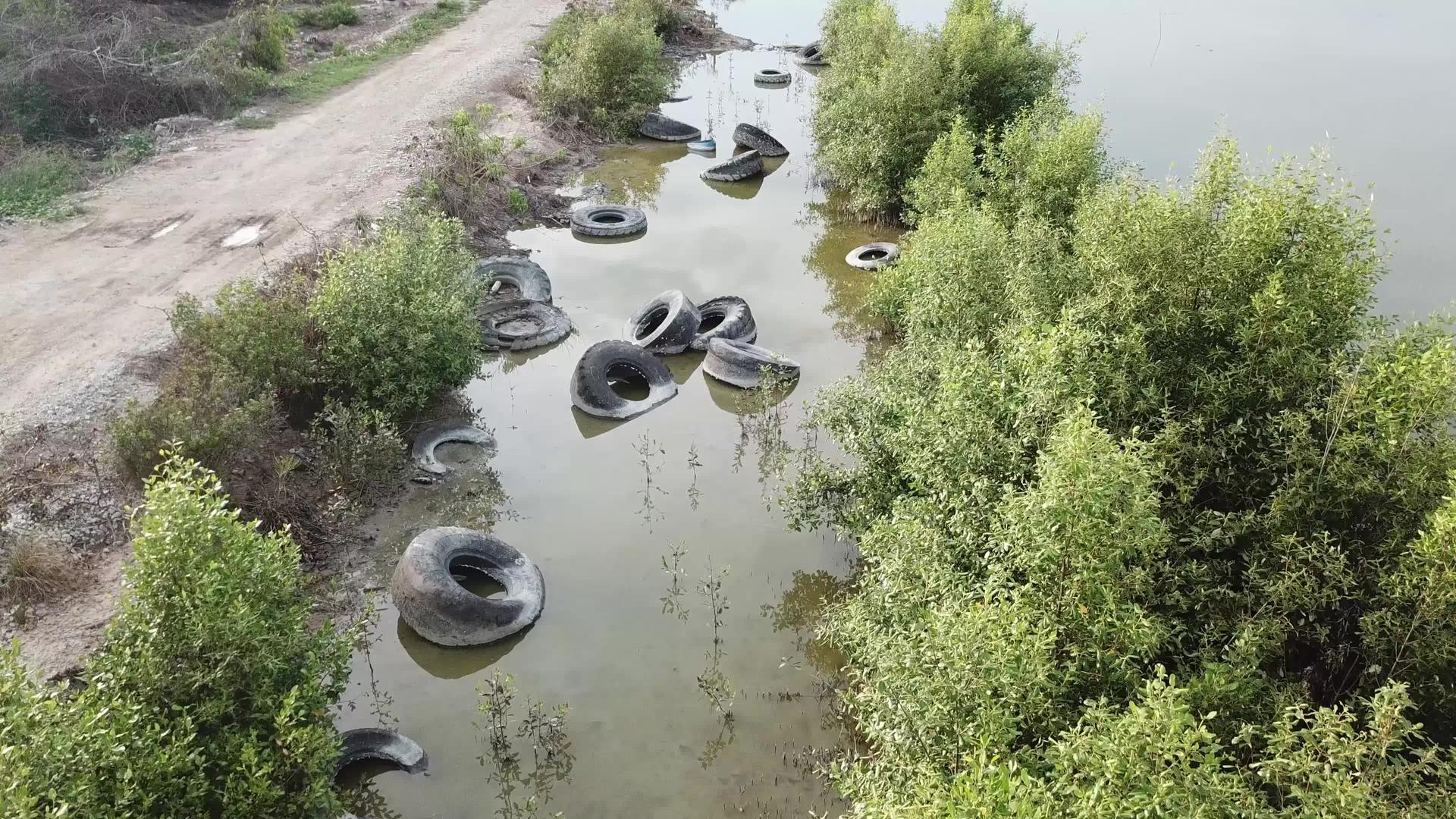 气动轮胎被扔进红树林地区作为垃圾视频的预览图