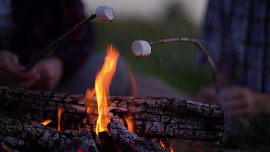 年轻游客在露营附近的火上烤棉花糖视频的预览图