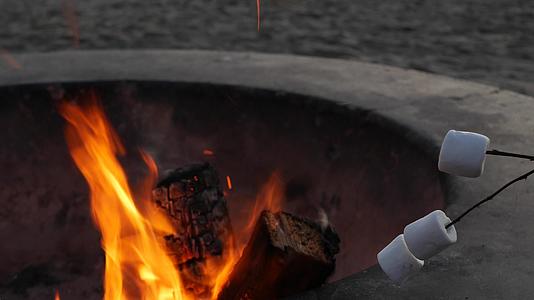 美国加利福尼亚州的篝火坑在海洋海滩上篝火上视频的预览图