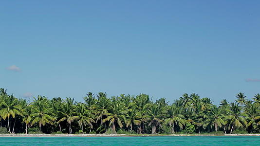 热带棕榈和蓝色海洋的热带场景视频的预览图