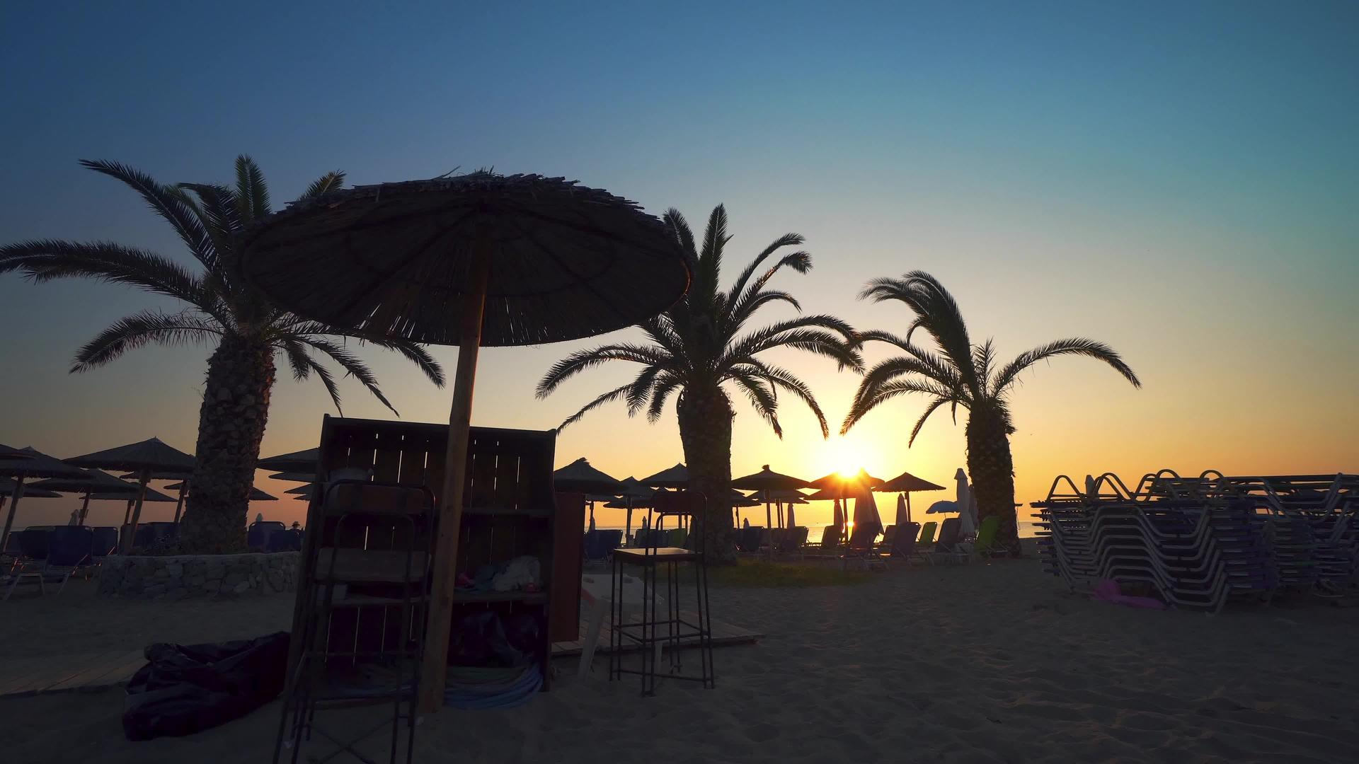日出时在热带度假胜地用草伞遮挡棕榈树视频的预览图