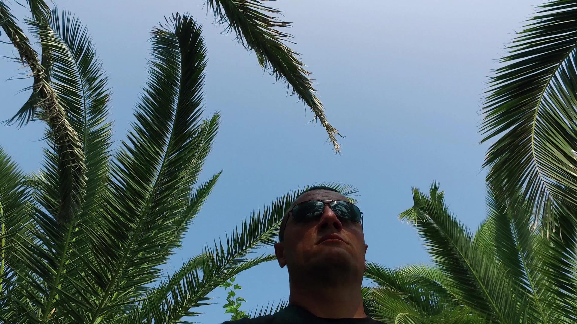 棕榈树热带森林和森林下有戴眼镜的男人视频的预览图