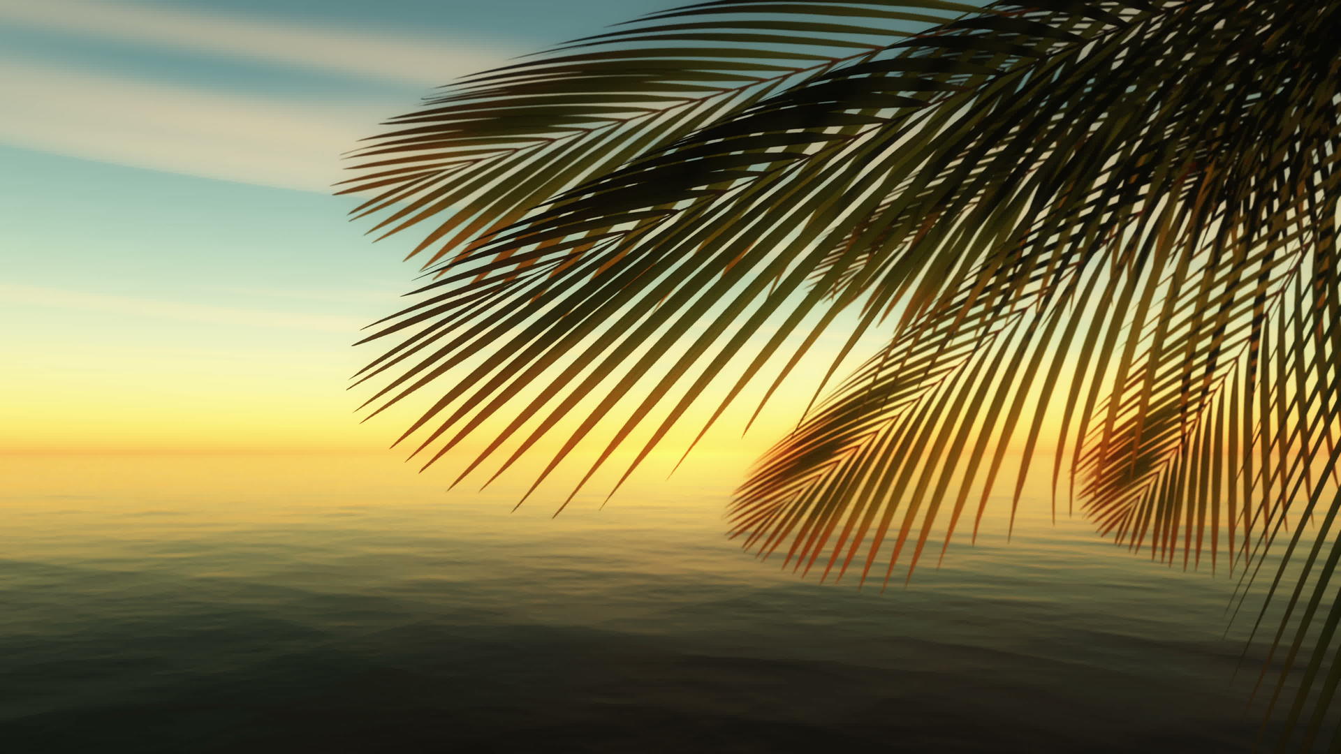 棕榈热带海视频的预览图