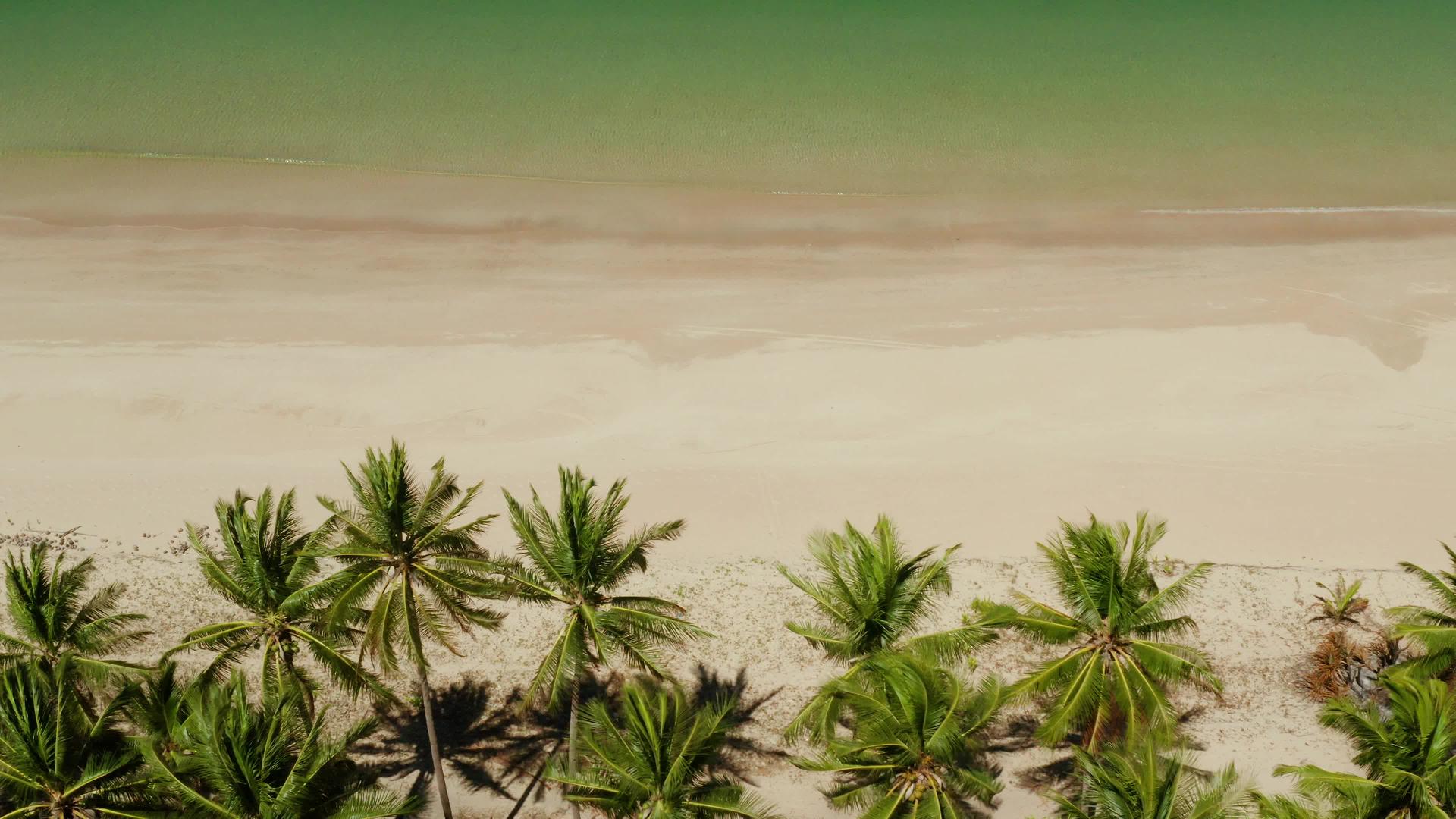 从上面看白沙的热带海滩视频的预览图