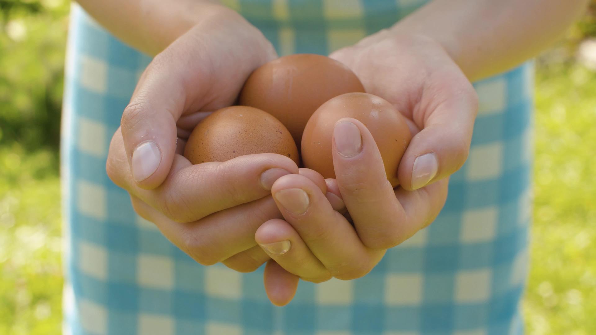 女性手中的鸡蛋视频的预览图