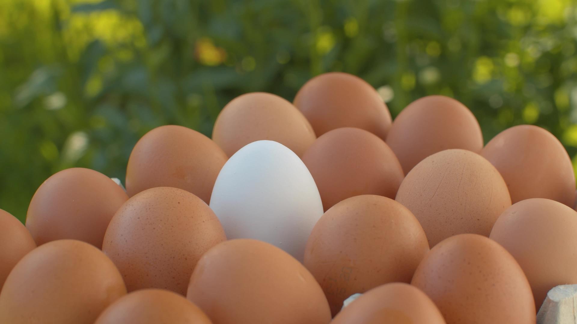 蛋盒里的褐蛋视频的预览图