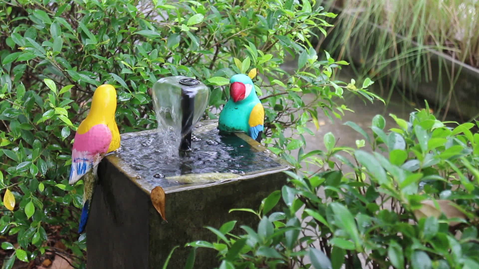 鸟类蜡烛花园装饰视频的预览图