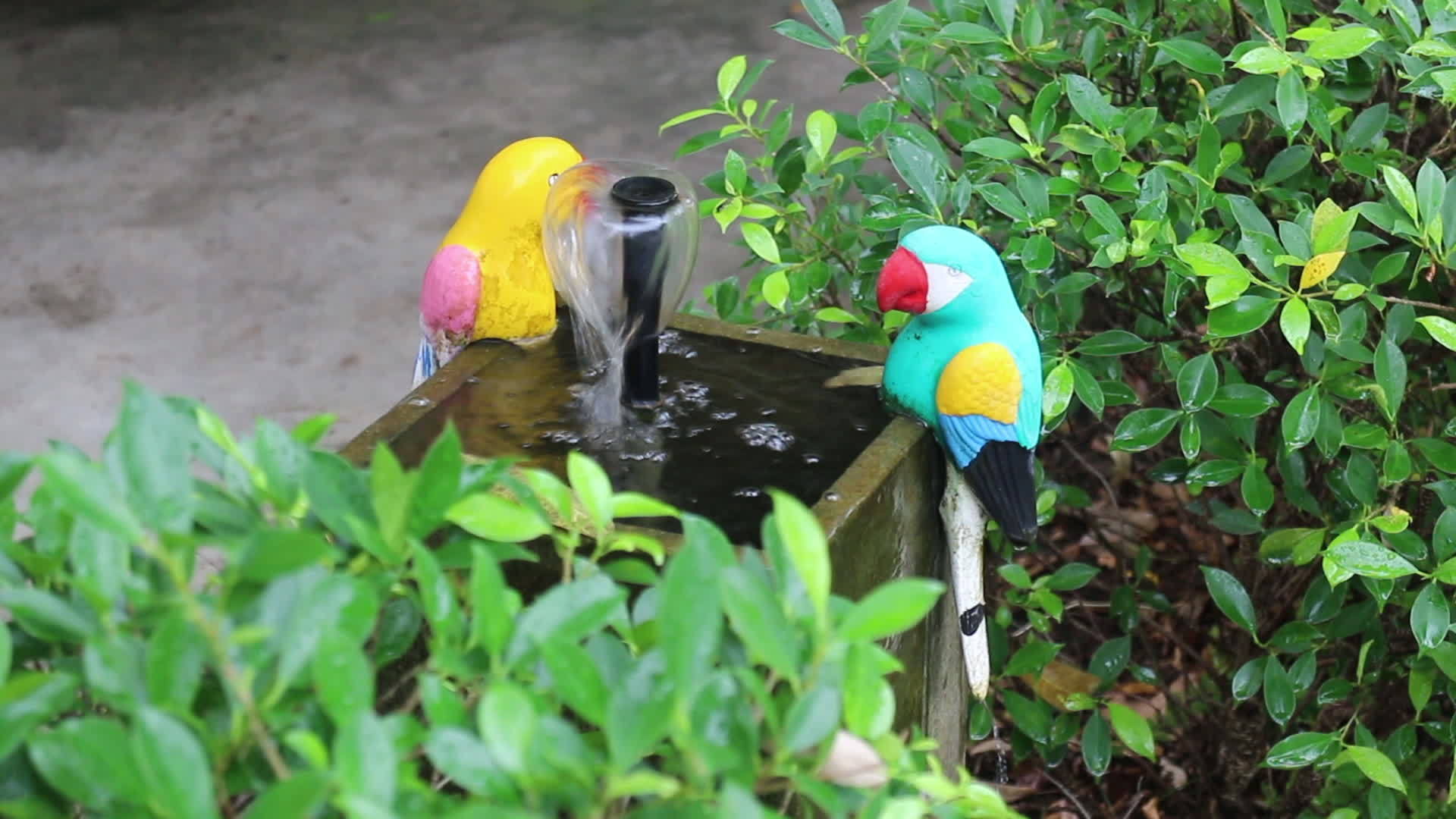 鸟类蜡烛花园装饰视频的预览图