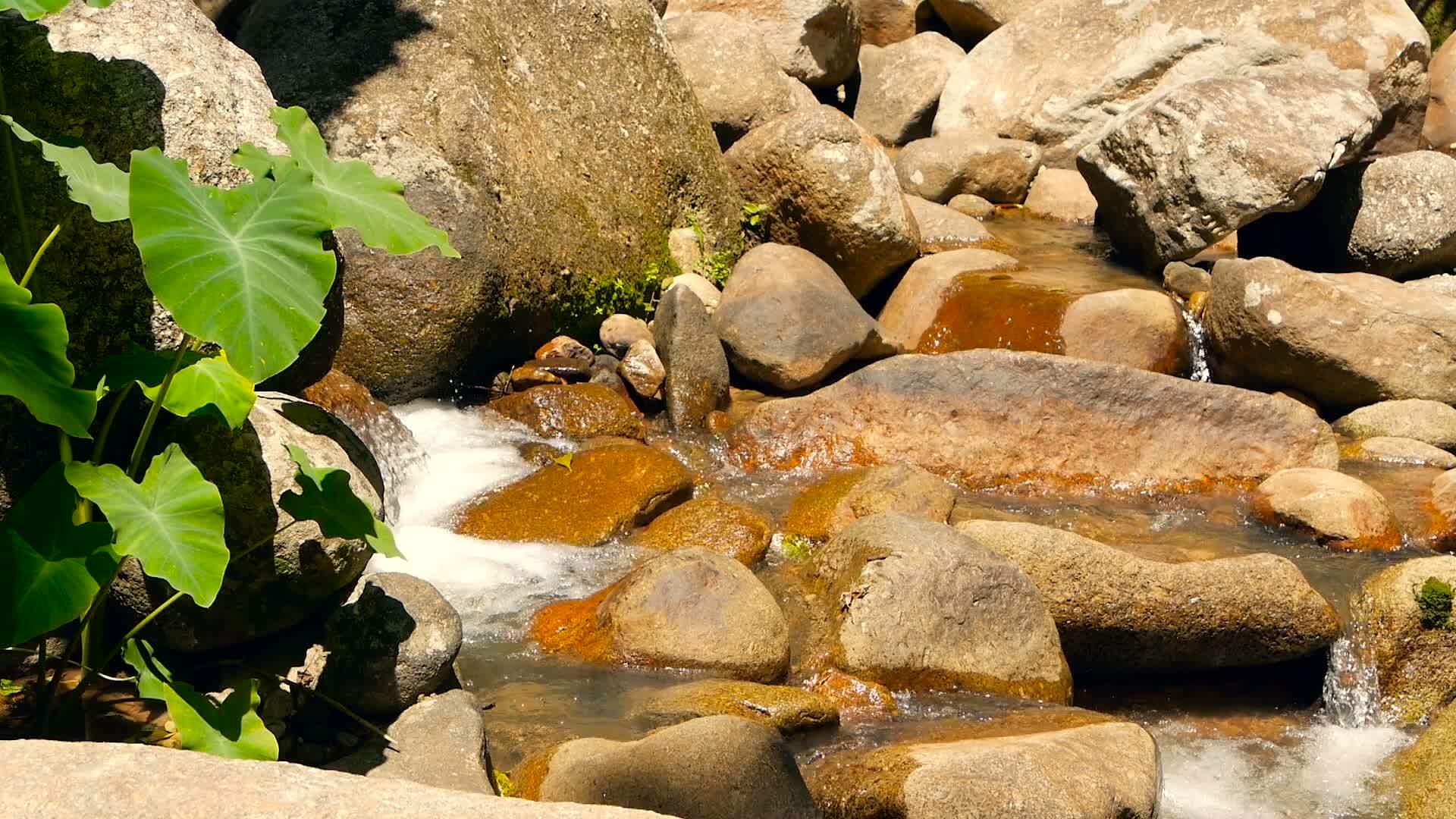 有岩石的神奇河流清澈的水晶溪流和急流蒸汽视频的预览图