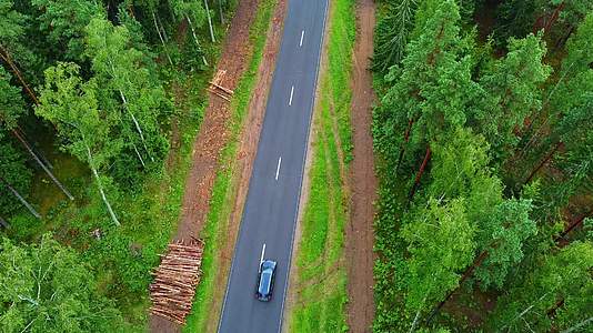 马路对面有汽车穿过森林视频的预览图