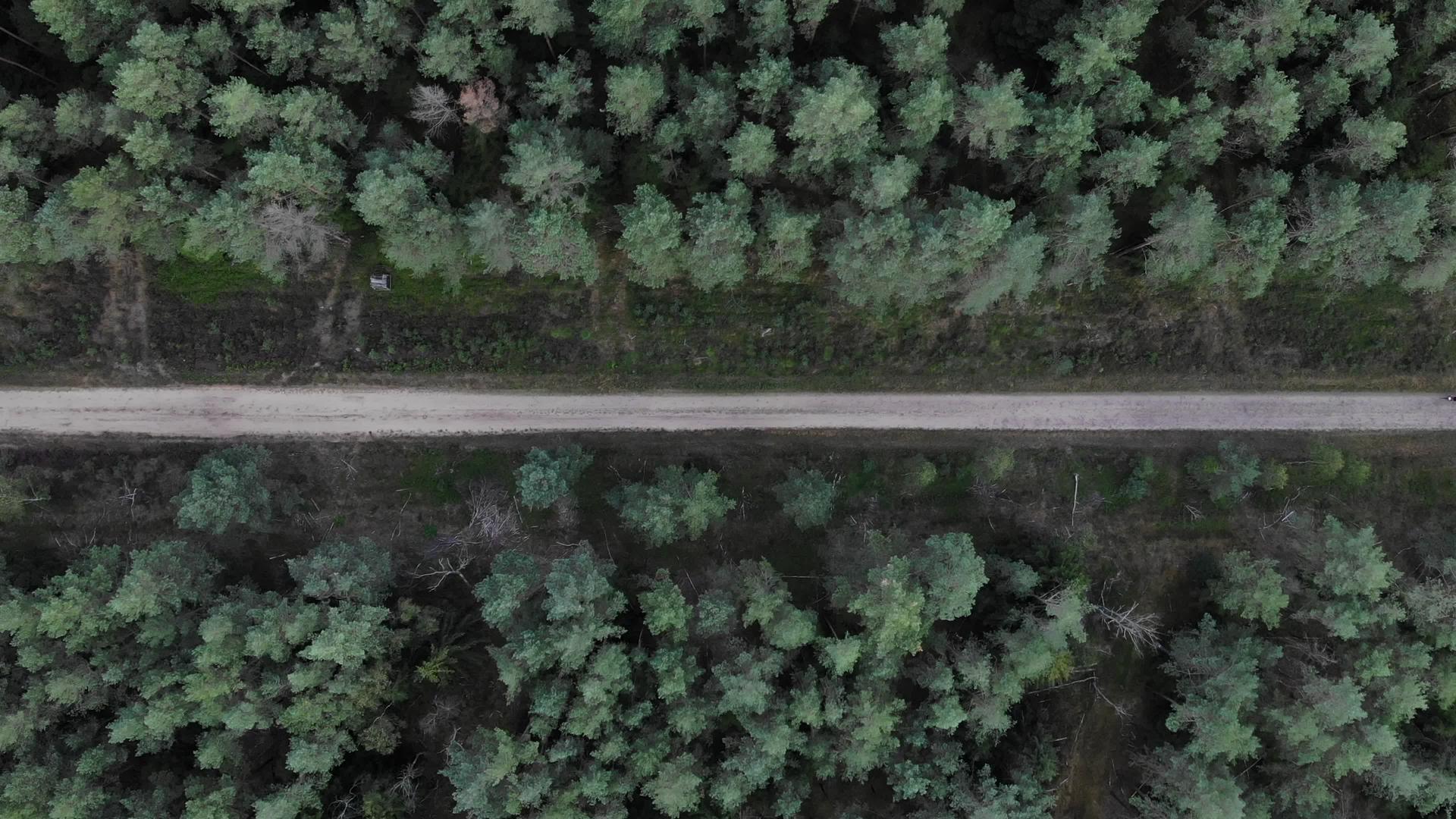 森林中的道路创造了一个美丽的森林形状和惊人的鸟瞰图视频的预览图