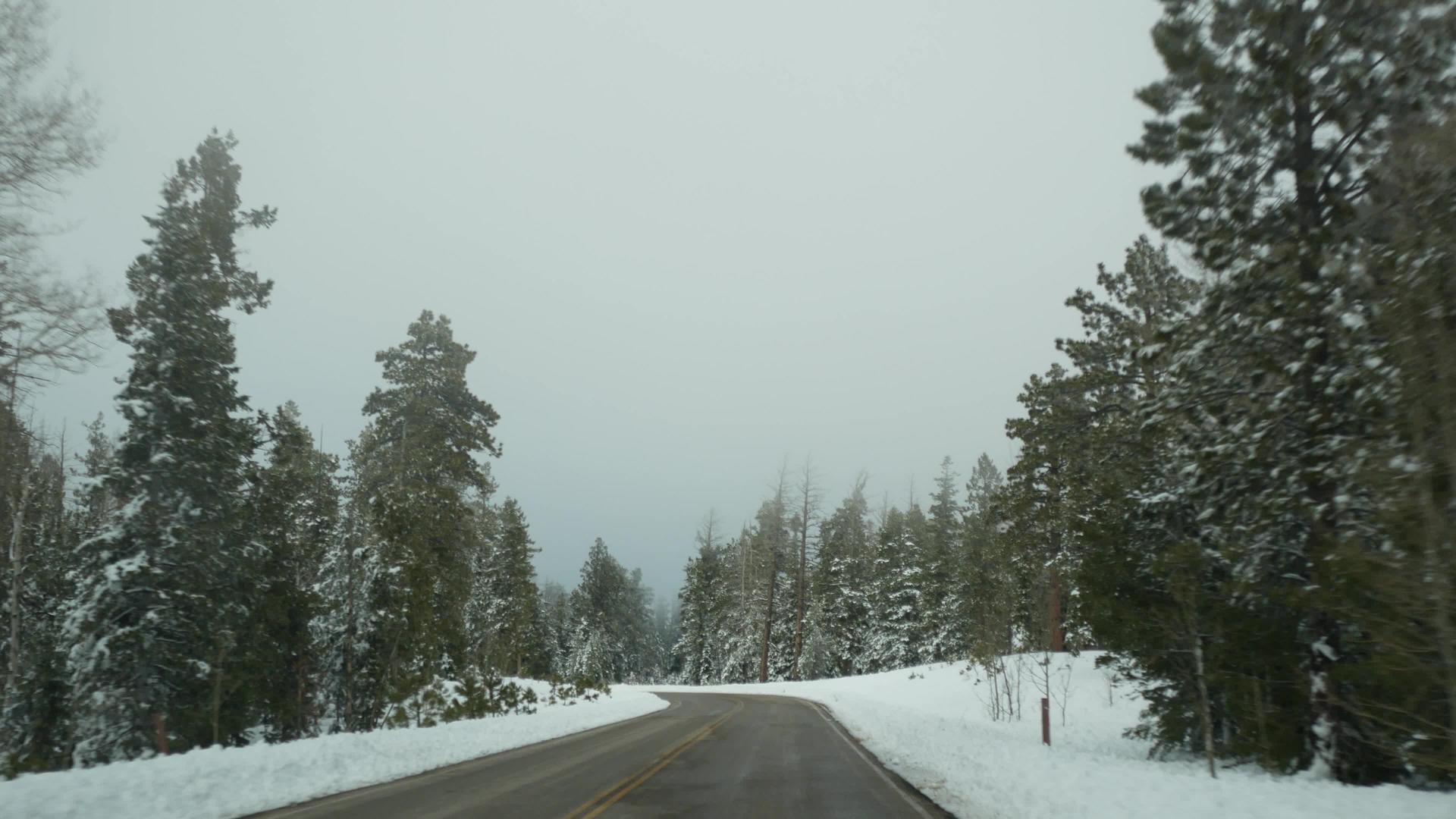 冬季森林的雪雾驾驶汽车在美国犹他州冬季公路旅行针叶视频的预览图