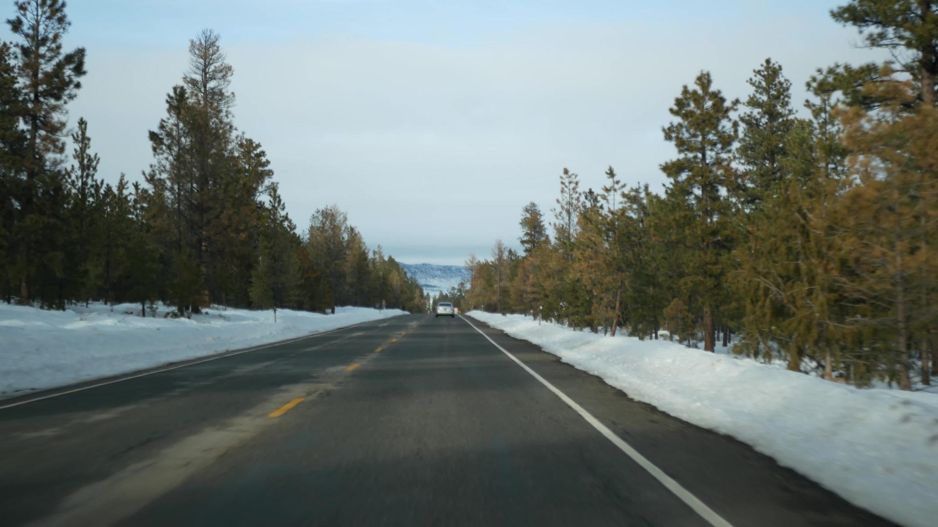 冬天森林里的雪驾驶汽车美国犹他州冬天的公路旅行视频的预览图