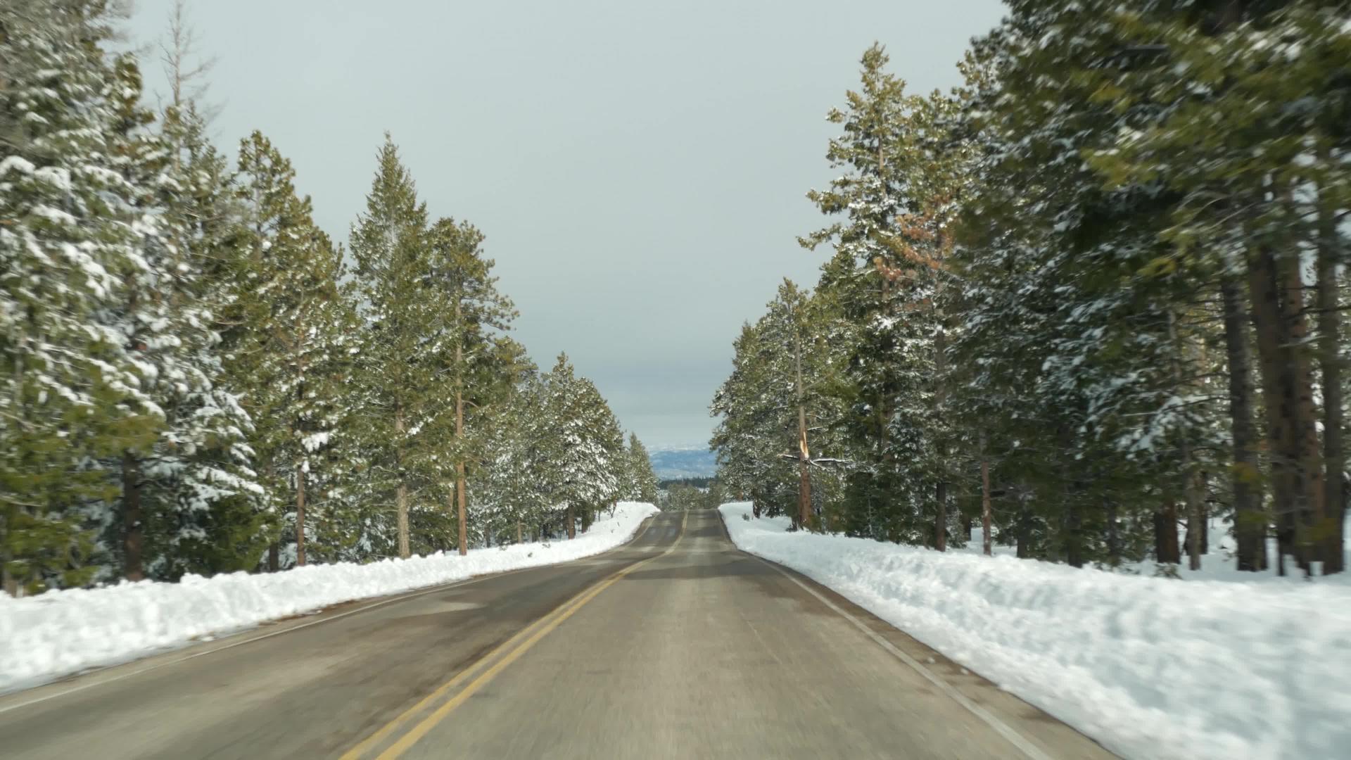 冬天森林里的雪驾驶汽车美国犹他州冬天的公路旅行视频的预览图