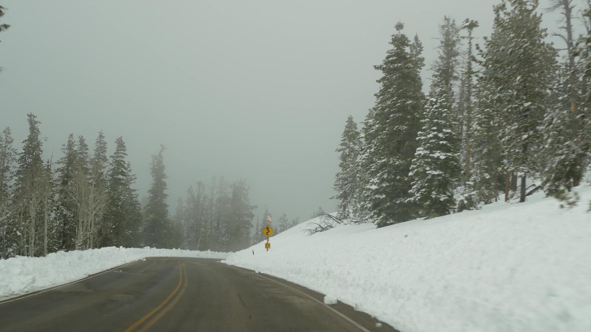 冬季森林的雪雾驾驶汽车在美国犹他州冬季公路旅行针叶视频的预览图